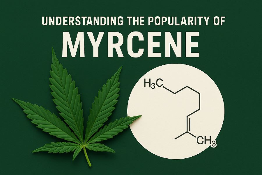Understanding the Popularity of Myrcene