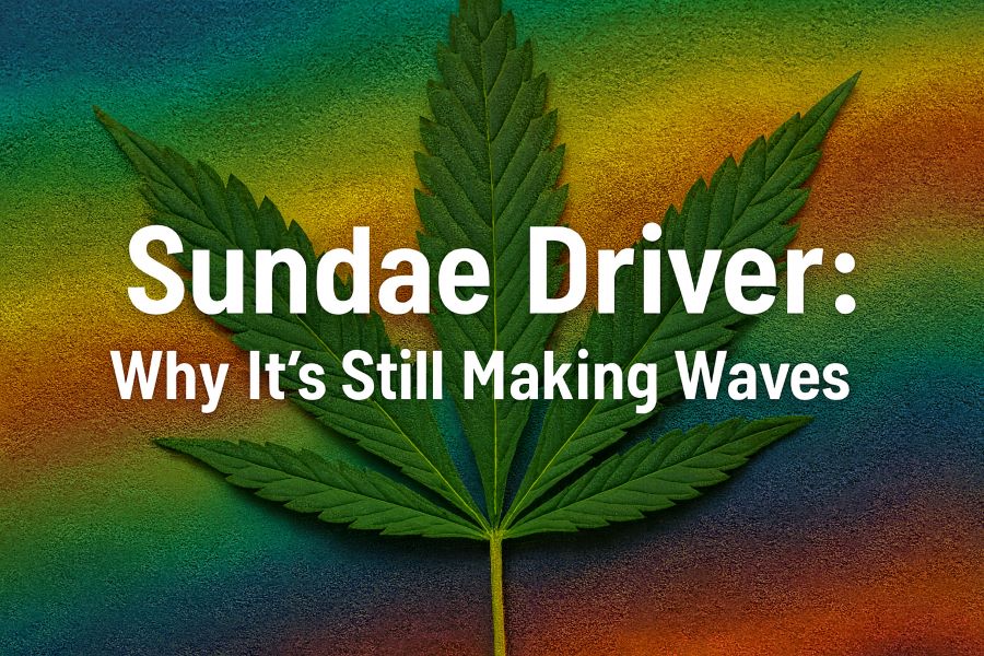 Sundae Driver: Why It’s Still Making Waves