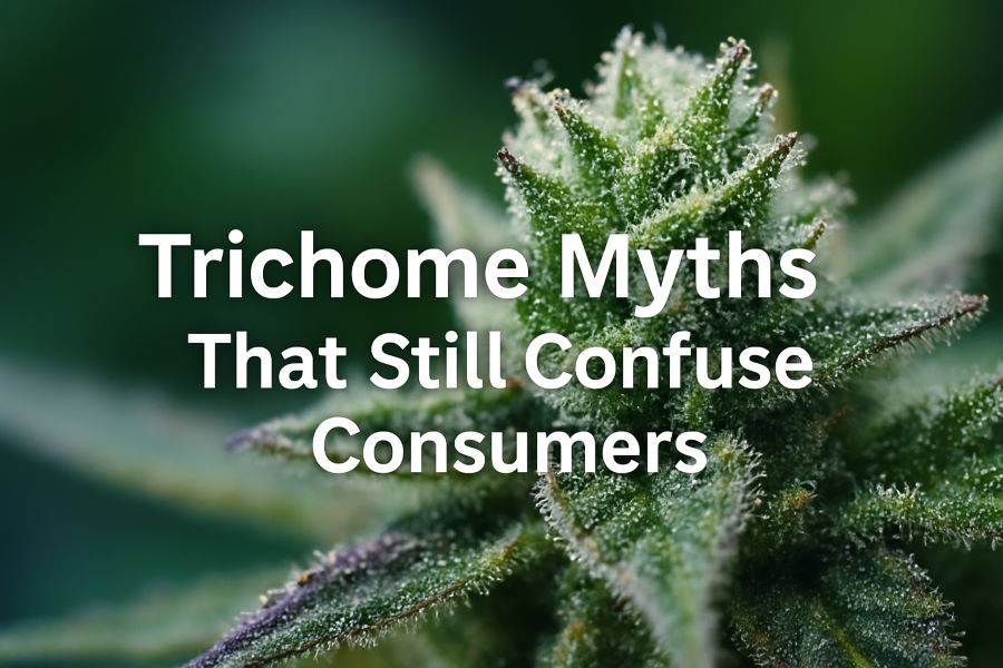 Trichome Myths That Still Confuse Consumers
