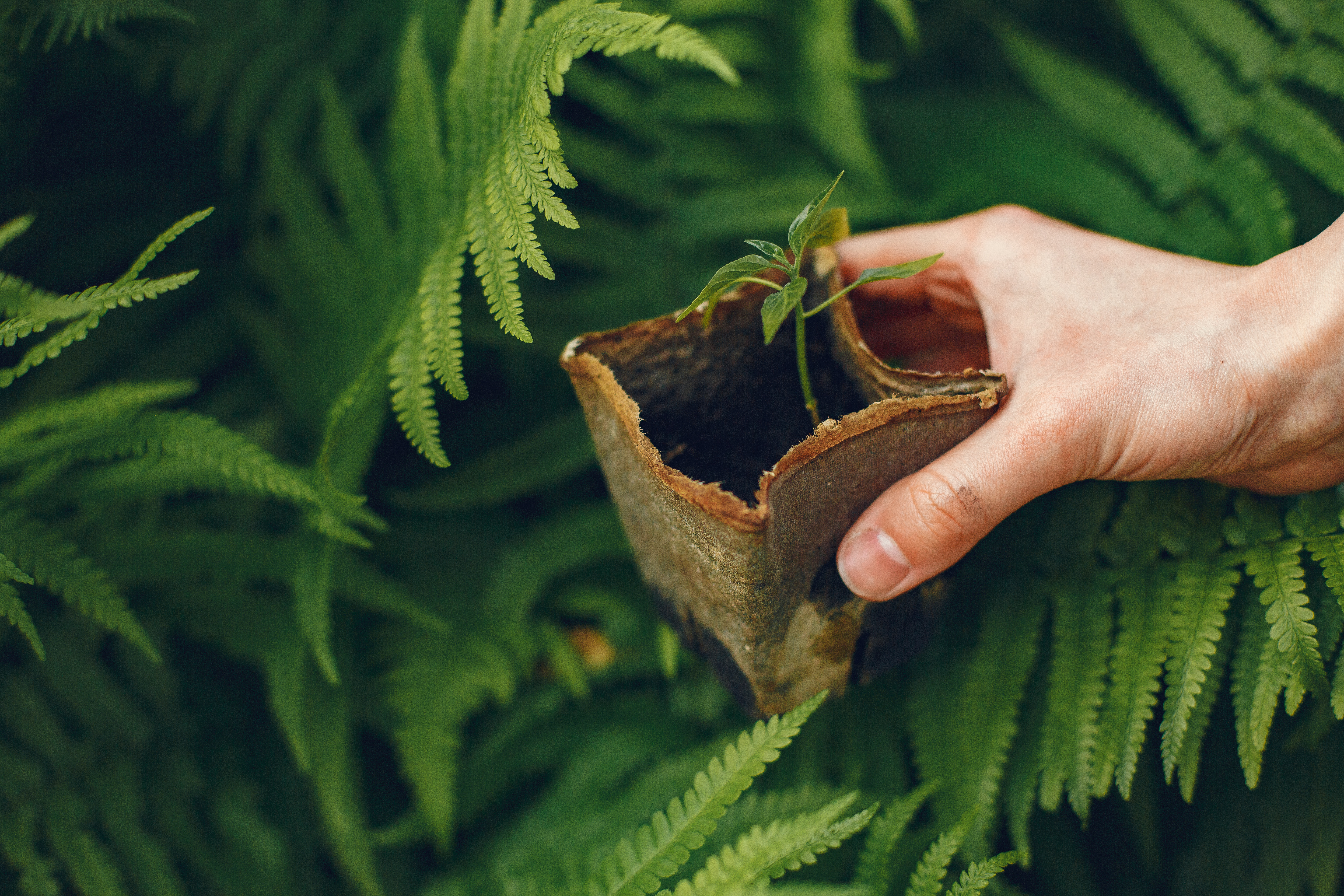 /