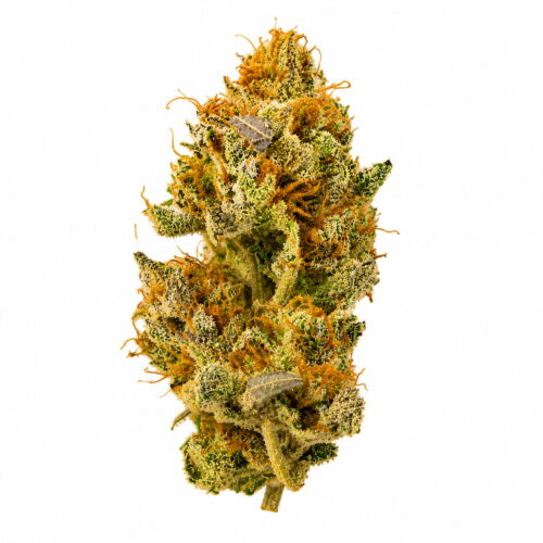 White Widow Auto