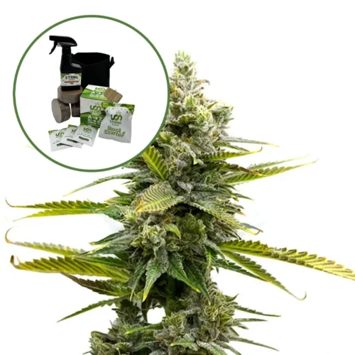 Critical Mass Auto High Yield Grow Kit