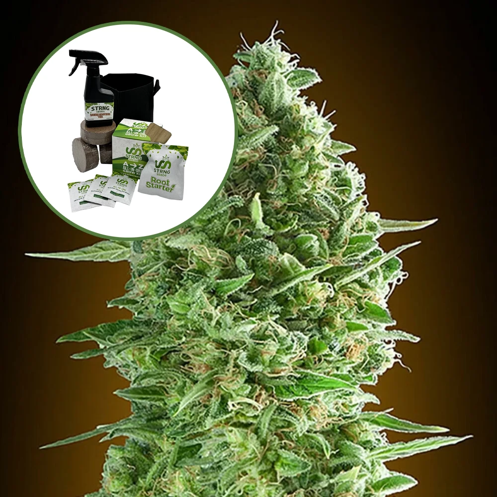 Do-Si-Dos Auto High Yield Grow Kit