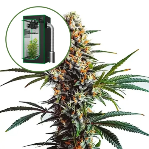 Doug's Varin Auto Platinum Indoor Grow Bundle