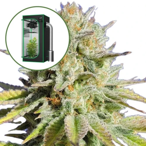 Gorilla Glue Auto Platinum Indoor Grow Bundle