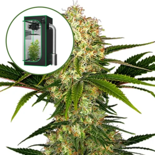 White Ice Auto Platinum Indoor Grow Bundle