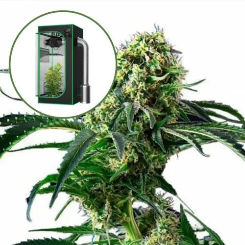 Wrecking Ball Auto Platinum Indoor Grow Bundle